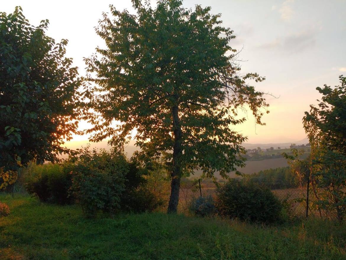 I Balzani B&B Matelica Zewnętrze zdjęcie